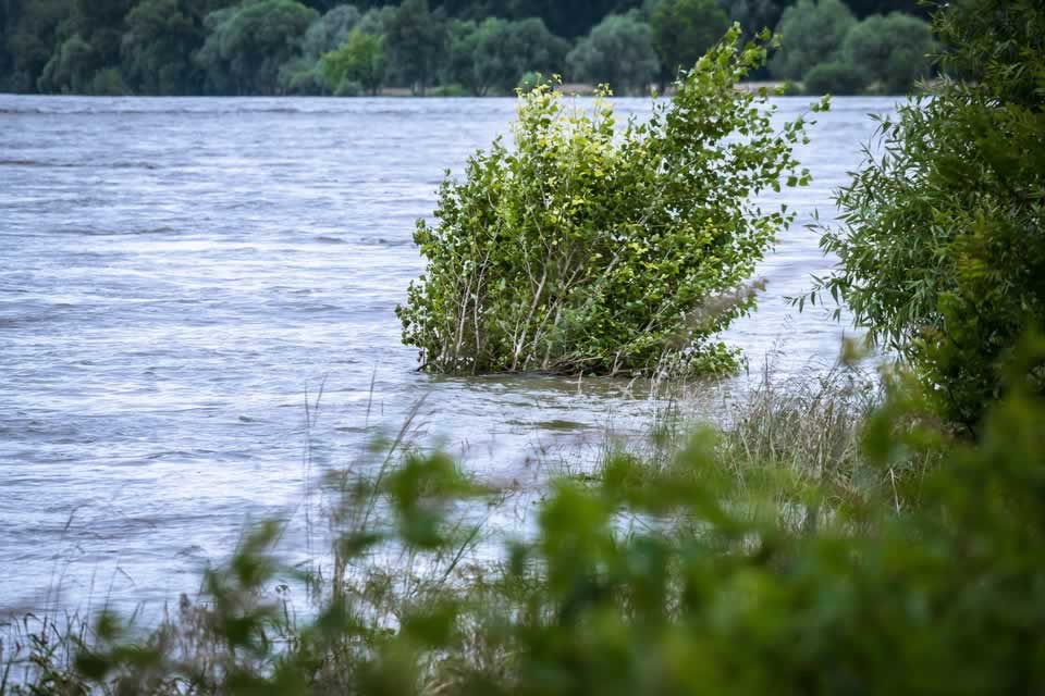Штетите од поплавите во Словенија изнесуваат неколку милијарди евра