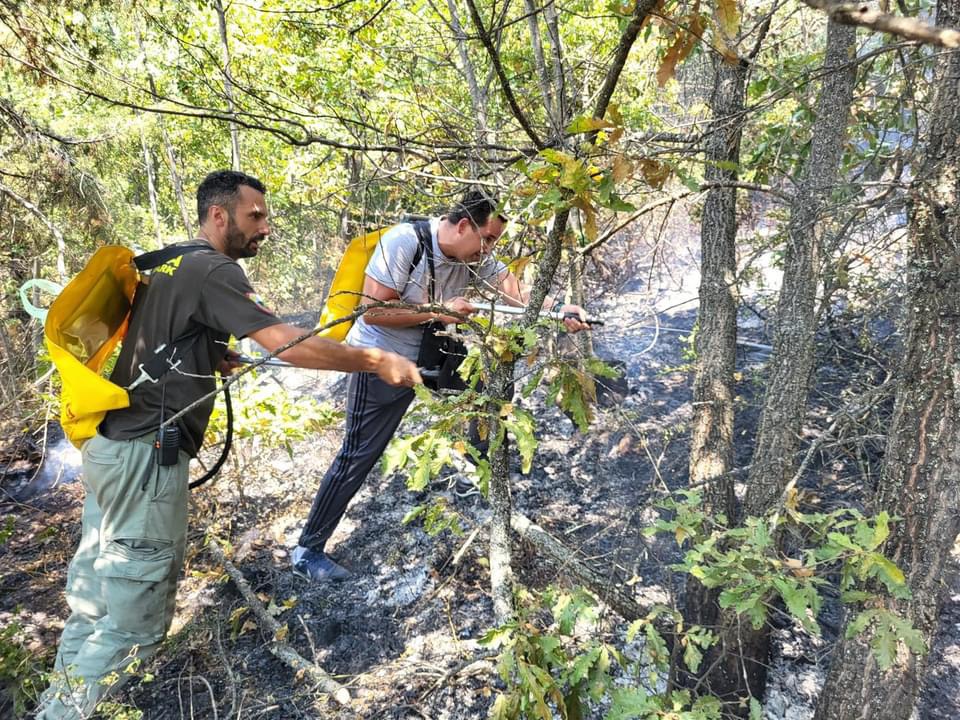 Активисти на СДСМ се приклучија во гасење на пожарите на Галичица