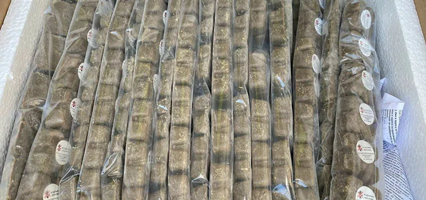 АХВ започна со втората овогодинешна кампања за орална вакцинација на лисиците и дивите карнивози против болеста беснило